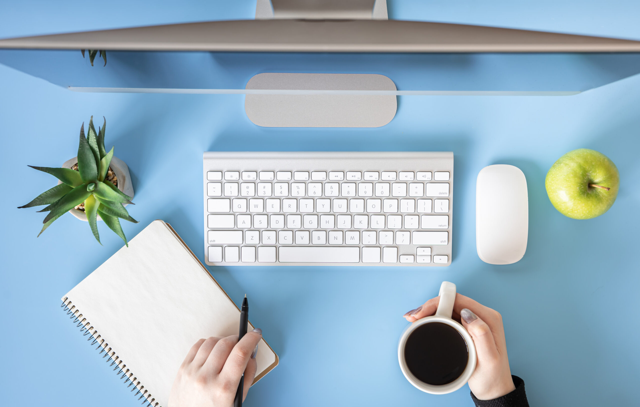 Animation de blog – Forfait 2